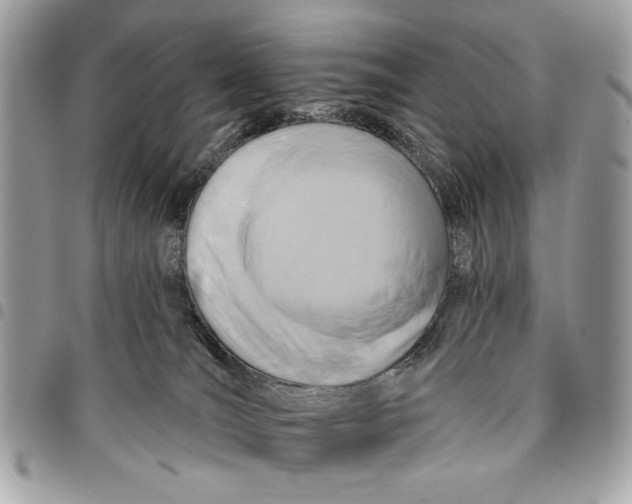 X0000096210036200802081512