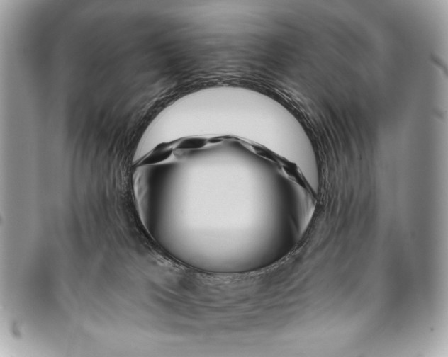 X0000096210037200802081512