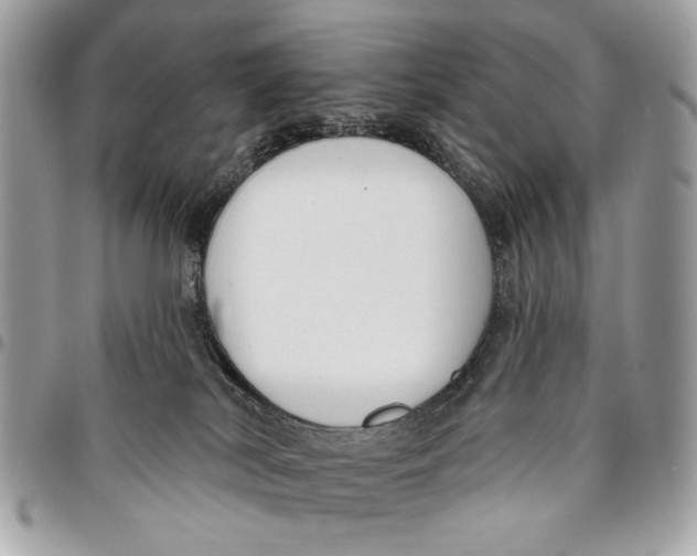 X0000096210038200802081512