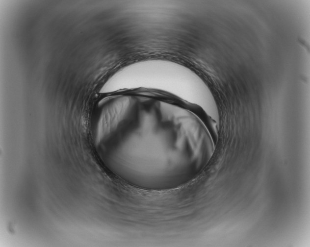 X0000096210039200802081512