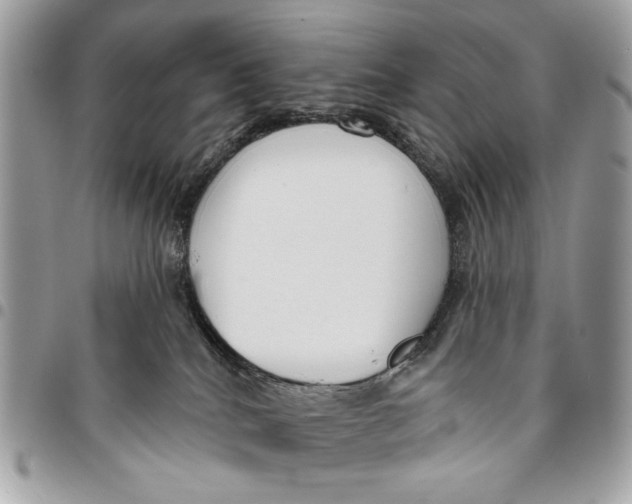 X0000096210040200802081512