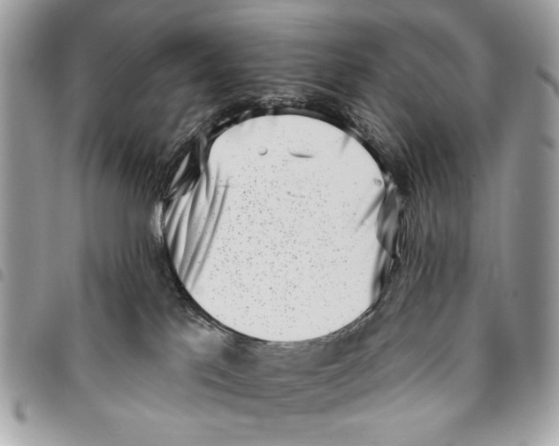 X0000096210041200802081512