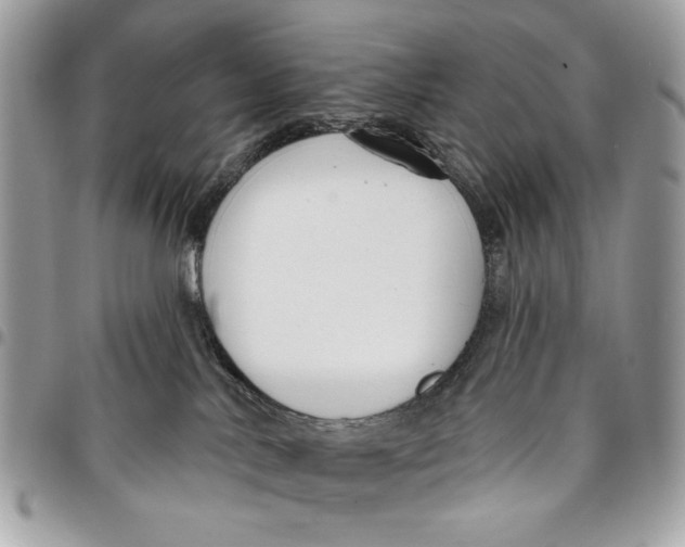 X0000096210042200802081512