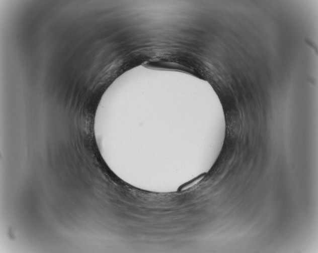 X0000096210044200802081512