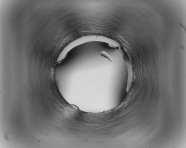 X0000096210045200802081512