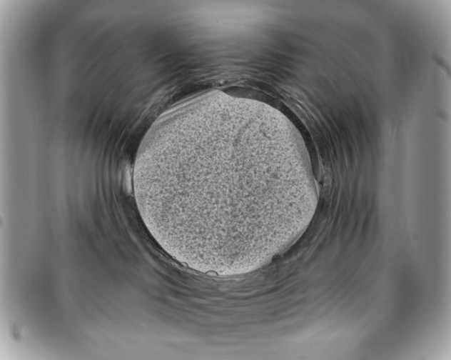 X0000096210046200802081512