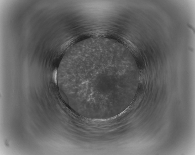 X0000096210047200802081512