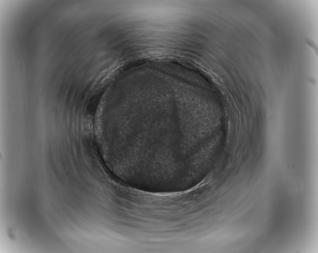 X0000096210048200802081512