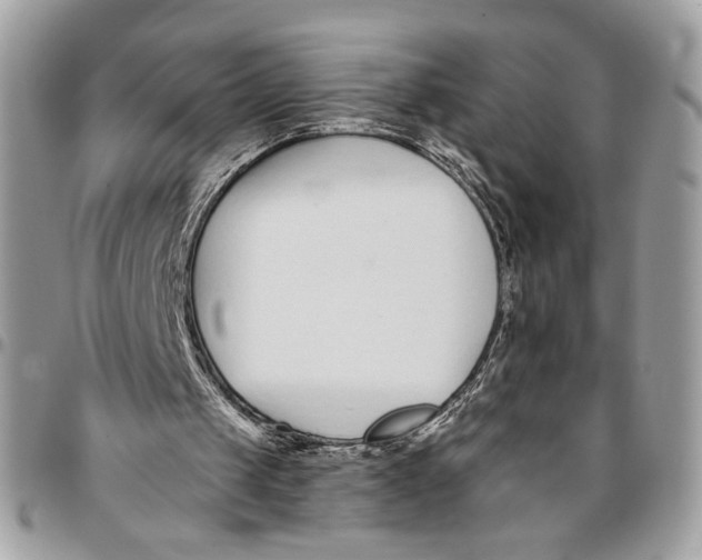 X0000096210049200802081511