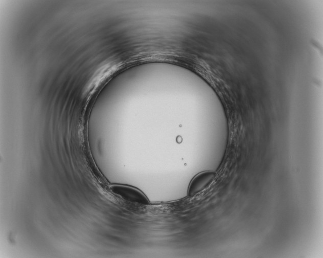 X0000096210050200802081512