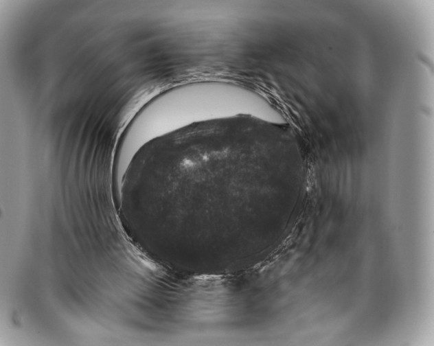 X0000096210052200802081512