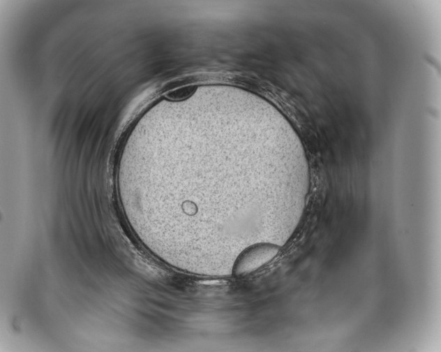 X0000096210053200802081512