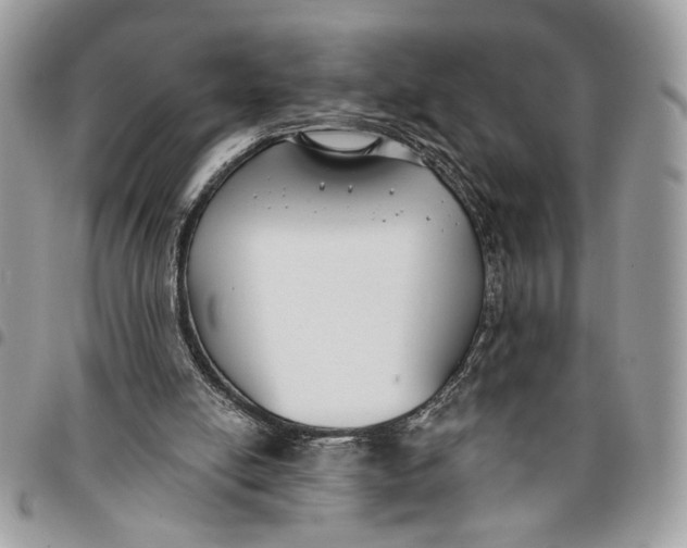 X0000096210054200802081512