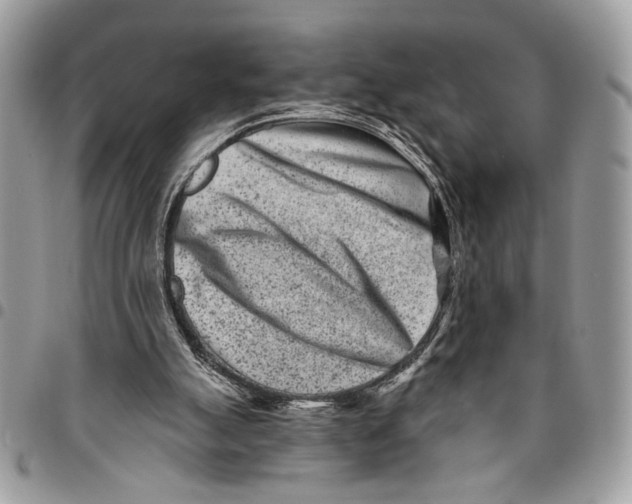 X0000096210055200802081512