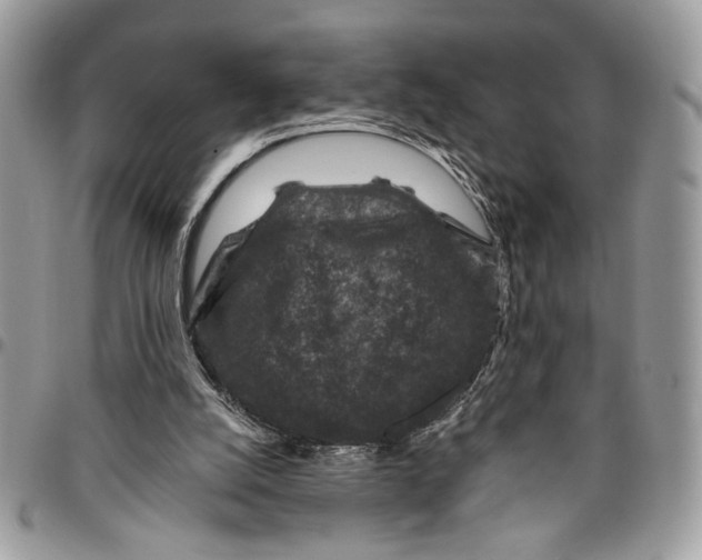 X0000096210056200802081512