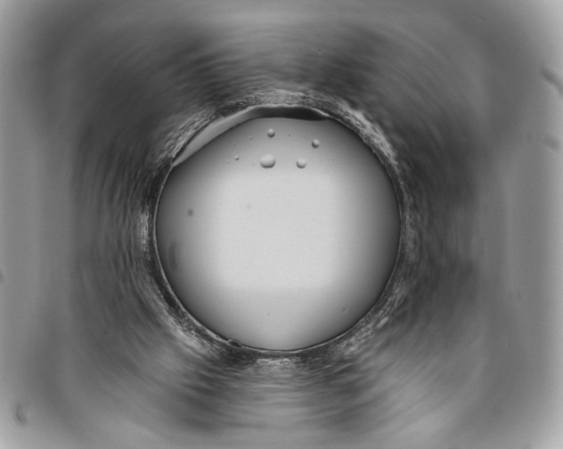 X0000096210057200802081512