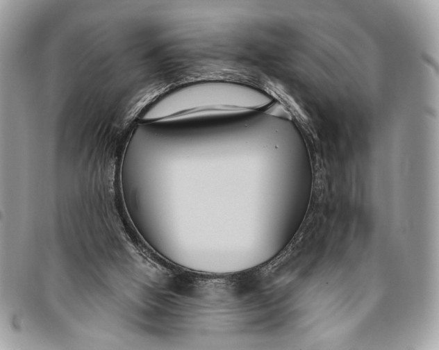 X0000096210058200802081512