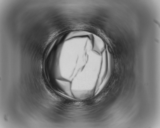 X0000096210059200802081512