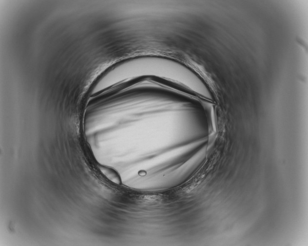 X0000096210060200802081512