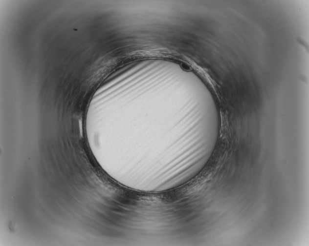 X0000096210061200802081512