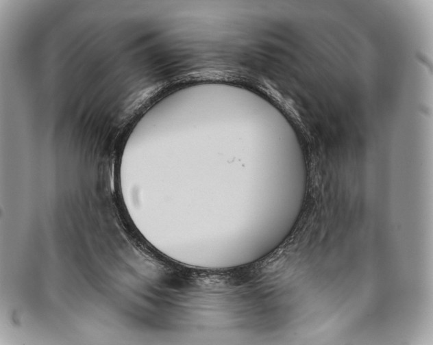 X0000096210062200802081512