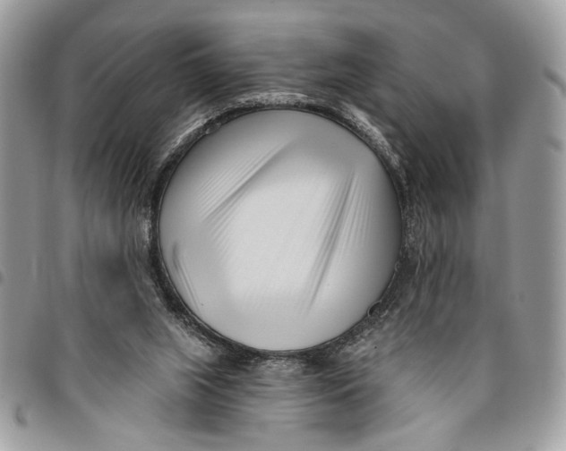 X0000096210063200802081512