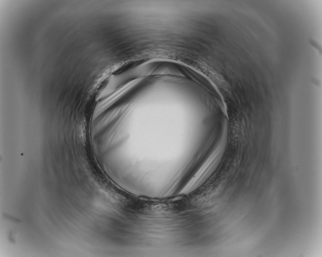 X0000096210064200802081512