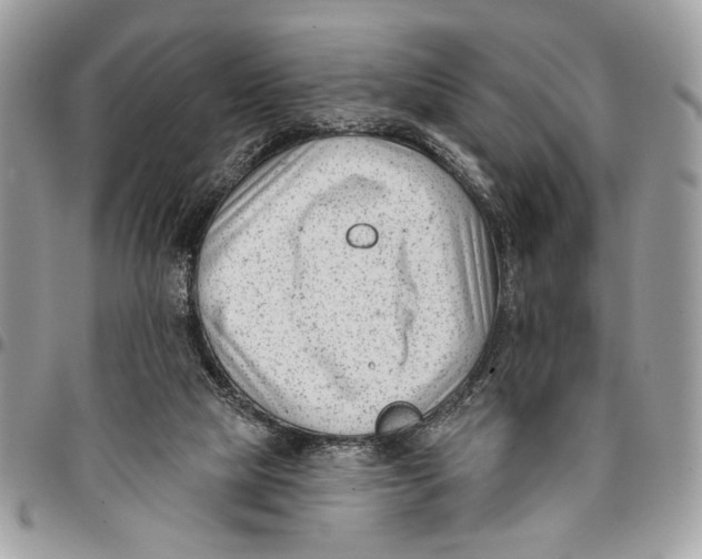 X0000096210065200802081512