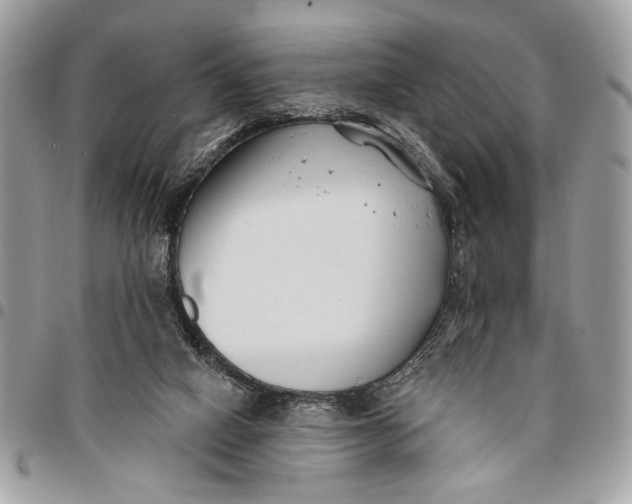 X0000096210066200802081512