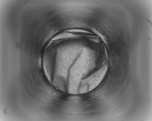 X0000096210067200802081512