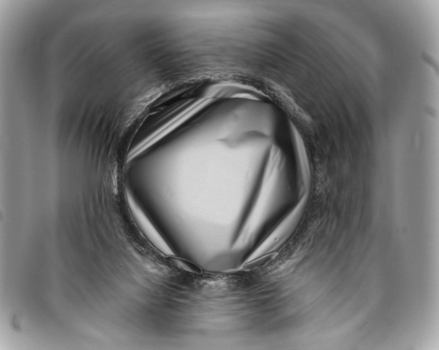 X0000096210068200802081512