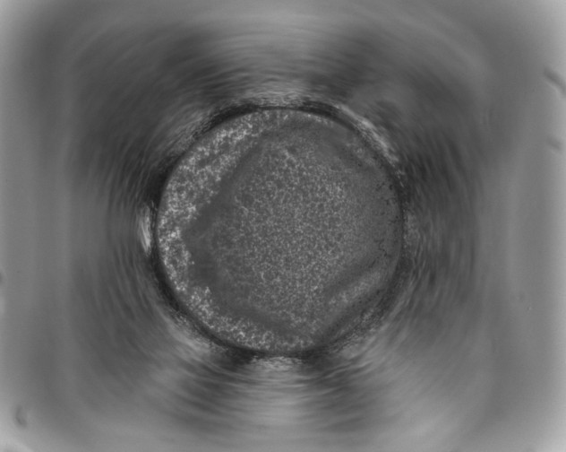 X0000096210069200802081512