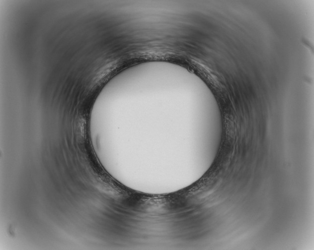 X0000096210071200802081512