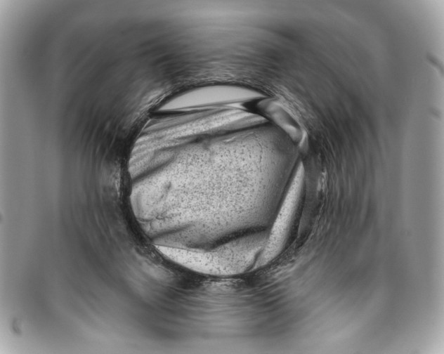 X0000096210072200802081512