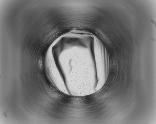 X0000096210074200802081512