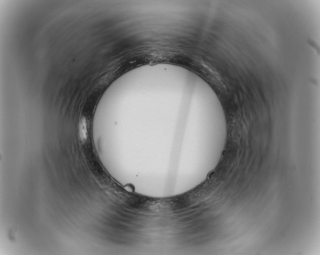 X0000096210075200802081512