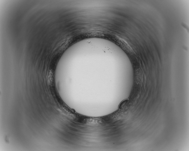 X0000096210077200802081512