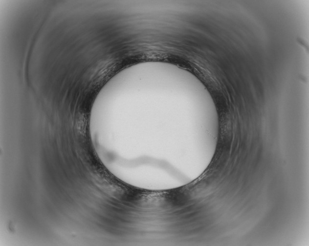 X0000096210078200802081512