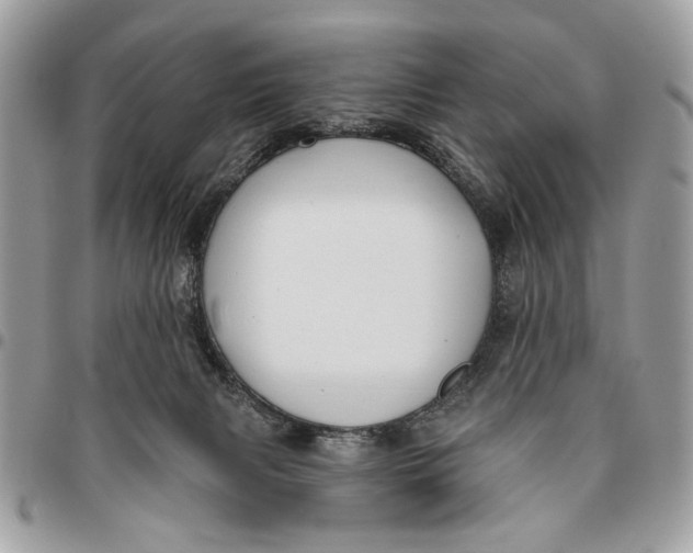 X0000096210079200802081512