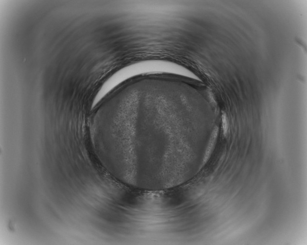 X0000096210080200802081512