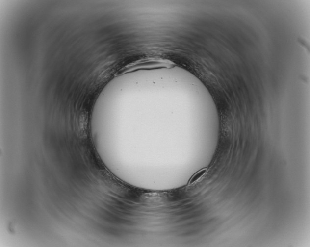 X0000096210082200802081512