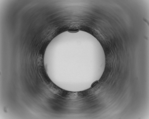 X0000096210083200802081512