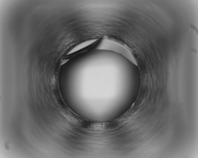 X0000096210084200802081512