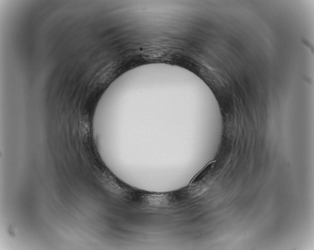 X0000096210085200802081512