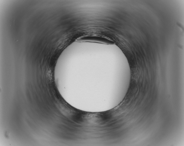 X0000096210086200802081512