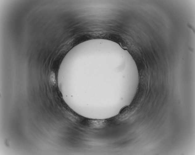 X0000096210089200802081512