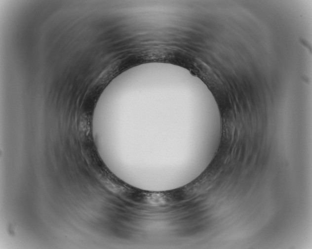 X0000096210091200802081512