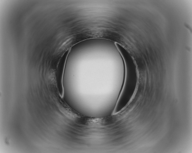 X0000096210092200802081512