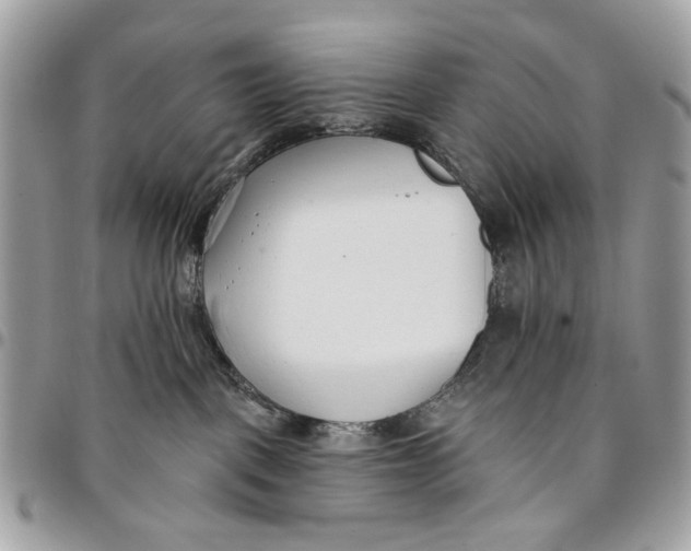 X0000096210093200802081512