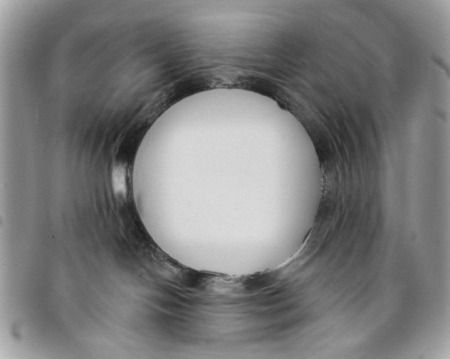 X0000096210094200802081512